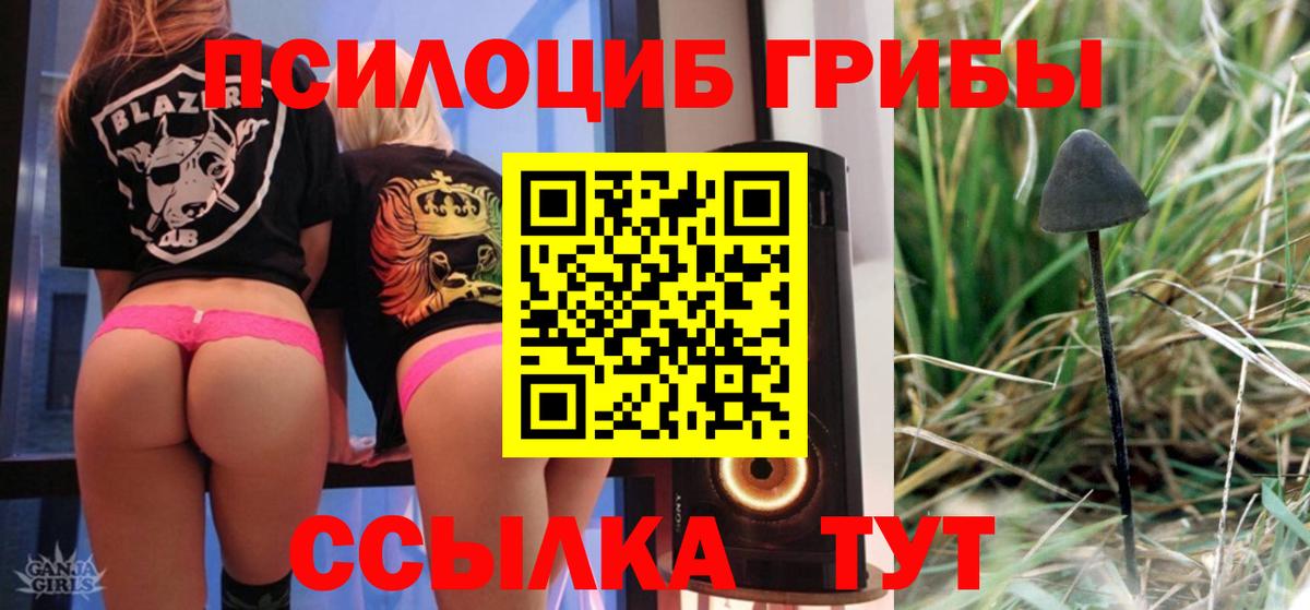 купить наркоту  Вход с VPN  Елец  Псилоцибиновые грибы ЛСД 